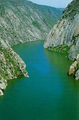 DUERO VESI